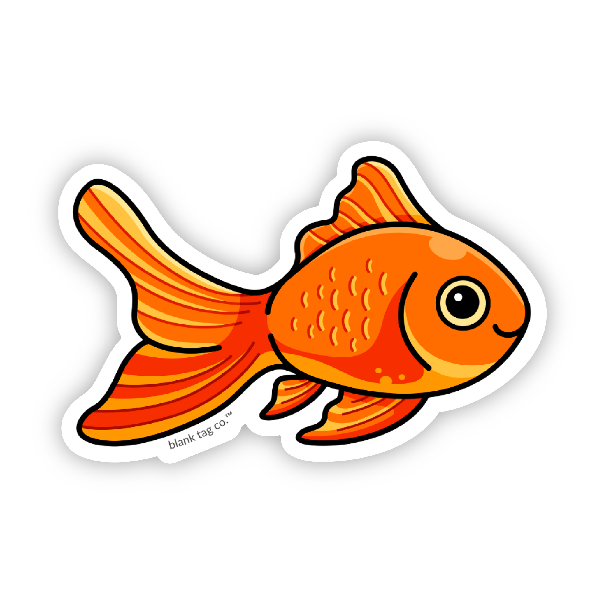 Fish Drawing and Coloring for Beginners | Let's Draw and Color Fish | By RN  Easy DrawingFacebook